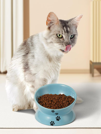 Elevated Ceramic Cat Food Bowl with Tilted Design for Spine Protection, Anti-Vomiting Features, and Backflow Prevention in Lake Blue