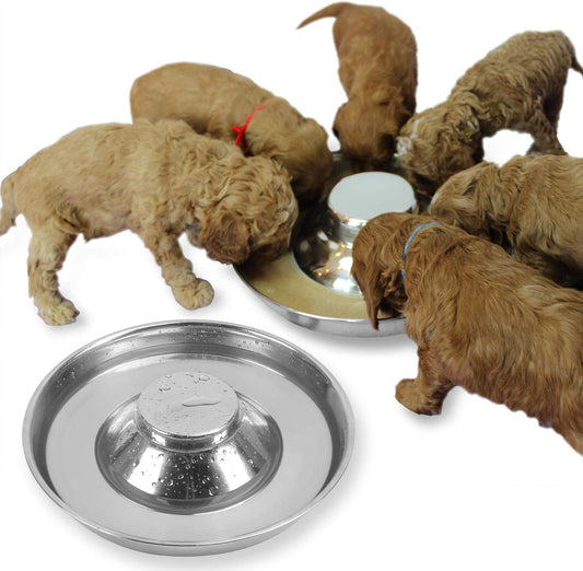 Stainless Steel Puppy Feeding Bowls - 2 Pack, 11.8 Inch Food and Water Dishes for Pets