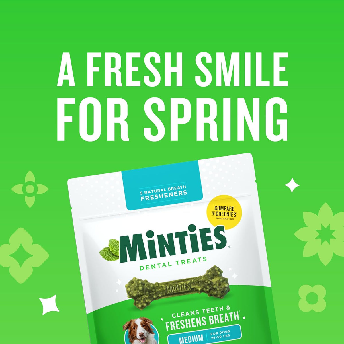 Mint Dental Chews for Dogs, Medium Breeds 25-50 Lbs, 17 Count