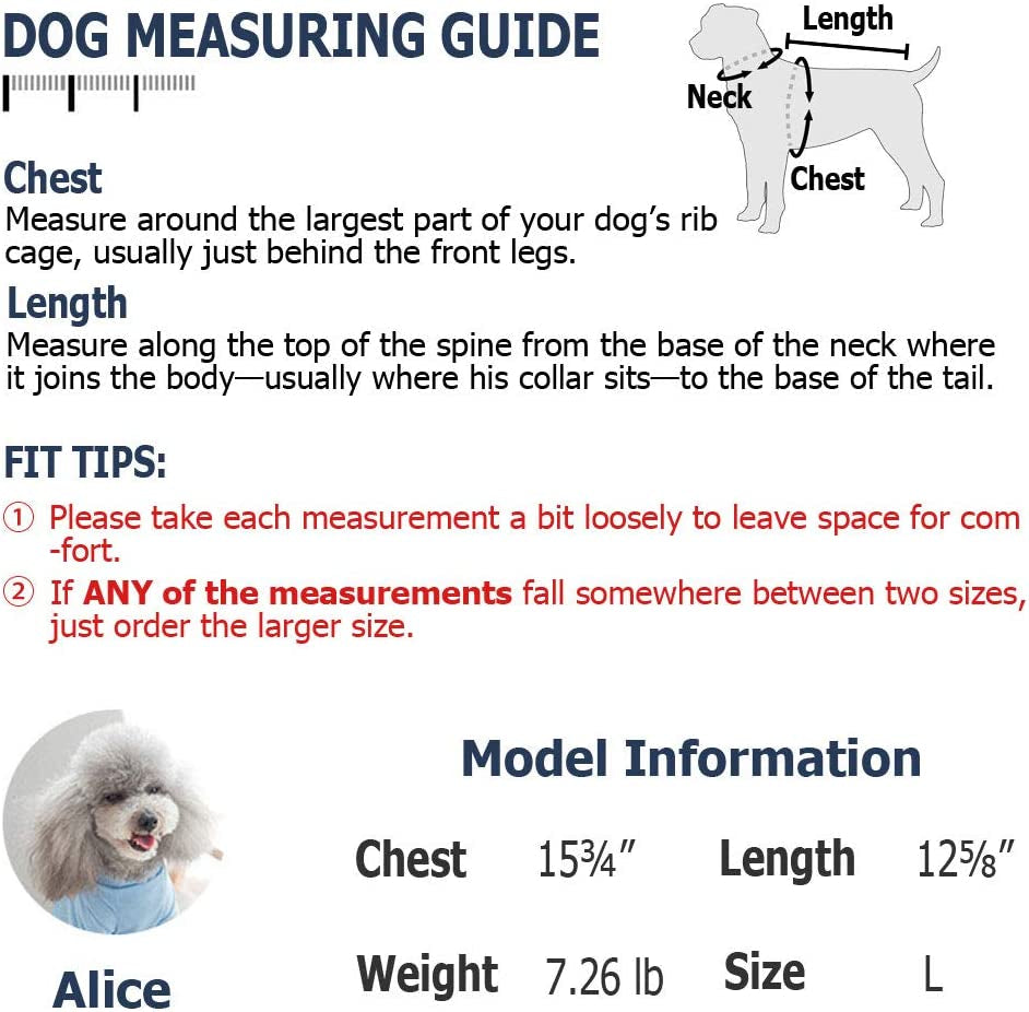 Denim Overalls for Small and Medium Dogs - Stylish Apparel for Pets