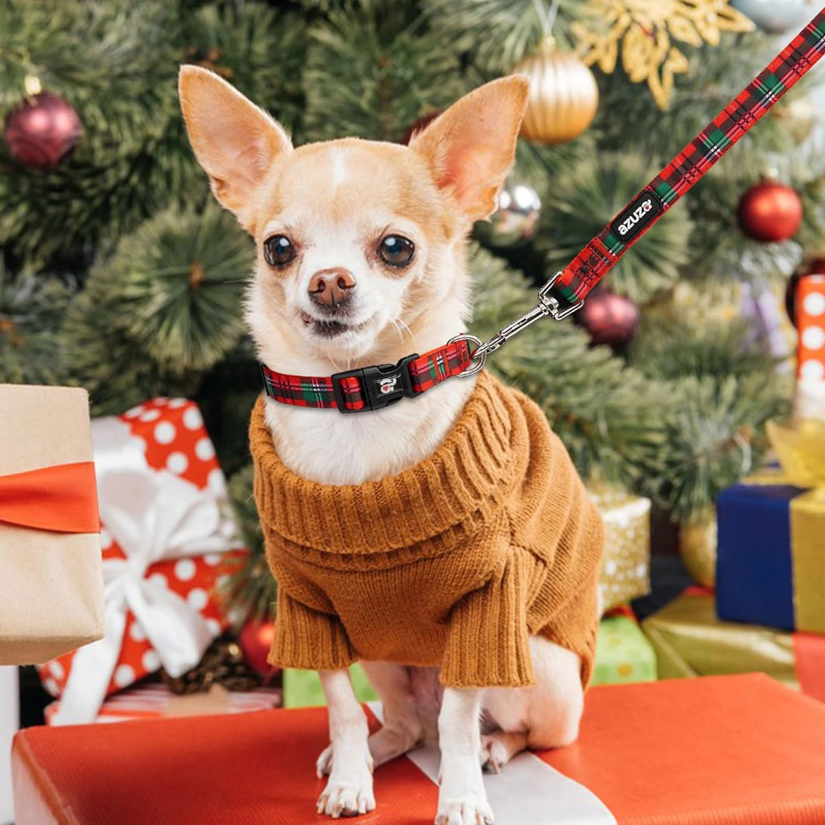 Buffalo Plaid Christmas Dog Collar and Leash Set for Small Dogs - Ideal for Holidays and Everyday Use