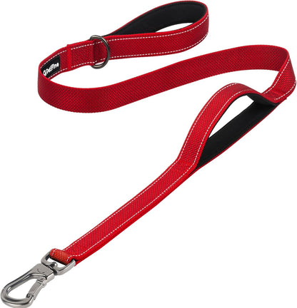 4FT Heavy Duty Dog Leash with Soft Padded Double Handle