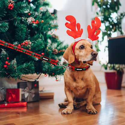 Buffalo Plaid Christmas Dog Collar and Leash Set for Small Dogs - Ideal for Holidays and Everyday Use