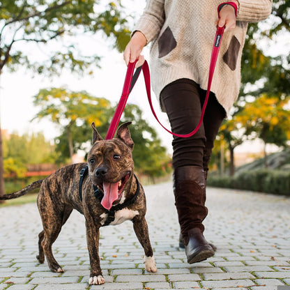 4FT Heavy Duty Dog Leash with Soft Padded Double Handle