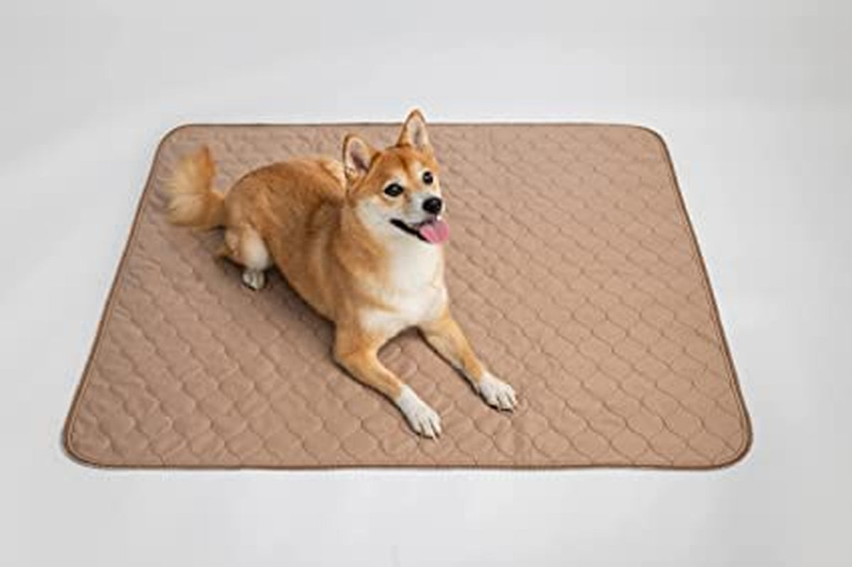 Reusable Dog Pee Pad, Waterproof Mat 41X41 in W/Grommets, 1 Pack