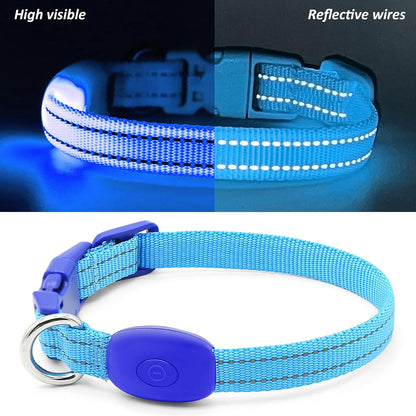 Reflective LED Rechargeable Dog Collar for Small Dogs and Cats - Royal Blue Safety Light for Night Walking
