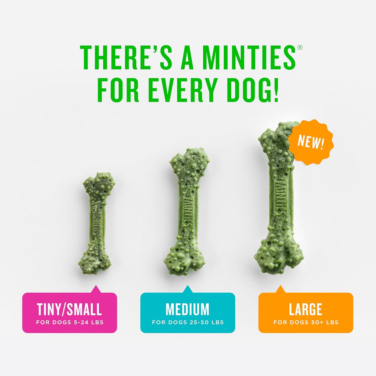 Mint Dental Chews for Dogs, Medium Breeds 25-50 Lbs, 17 Count